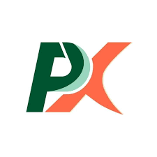 pesa-x.online